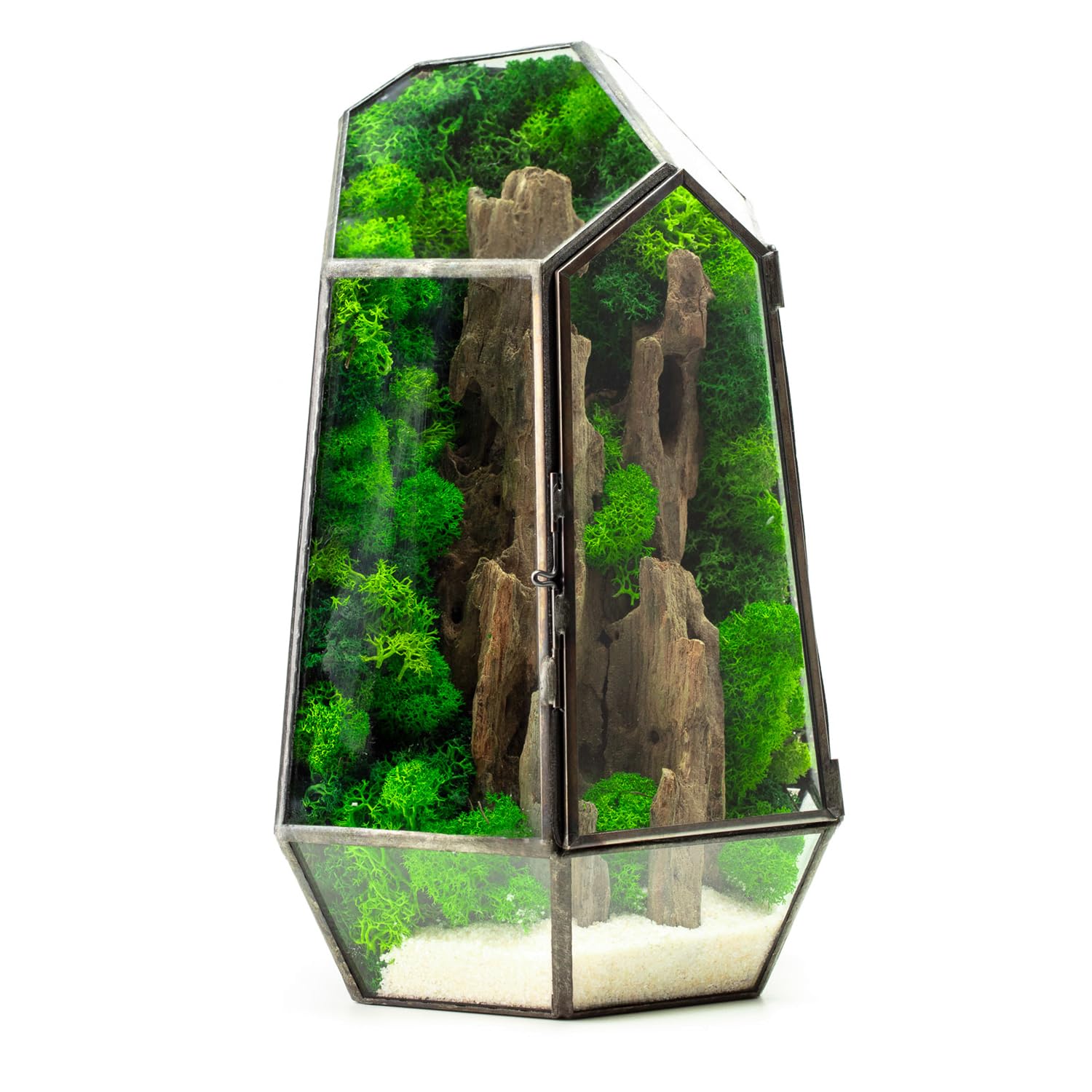 Terrario Stabilizzato Fløya in Vetro completo, Design Nordico con Legno, Muschi e Licheni Stabilizzati Arredo Naturale Elegante Senza Manutenzione per Casa, Ufficio e Idee Regalo Green