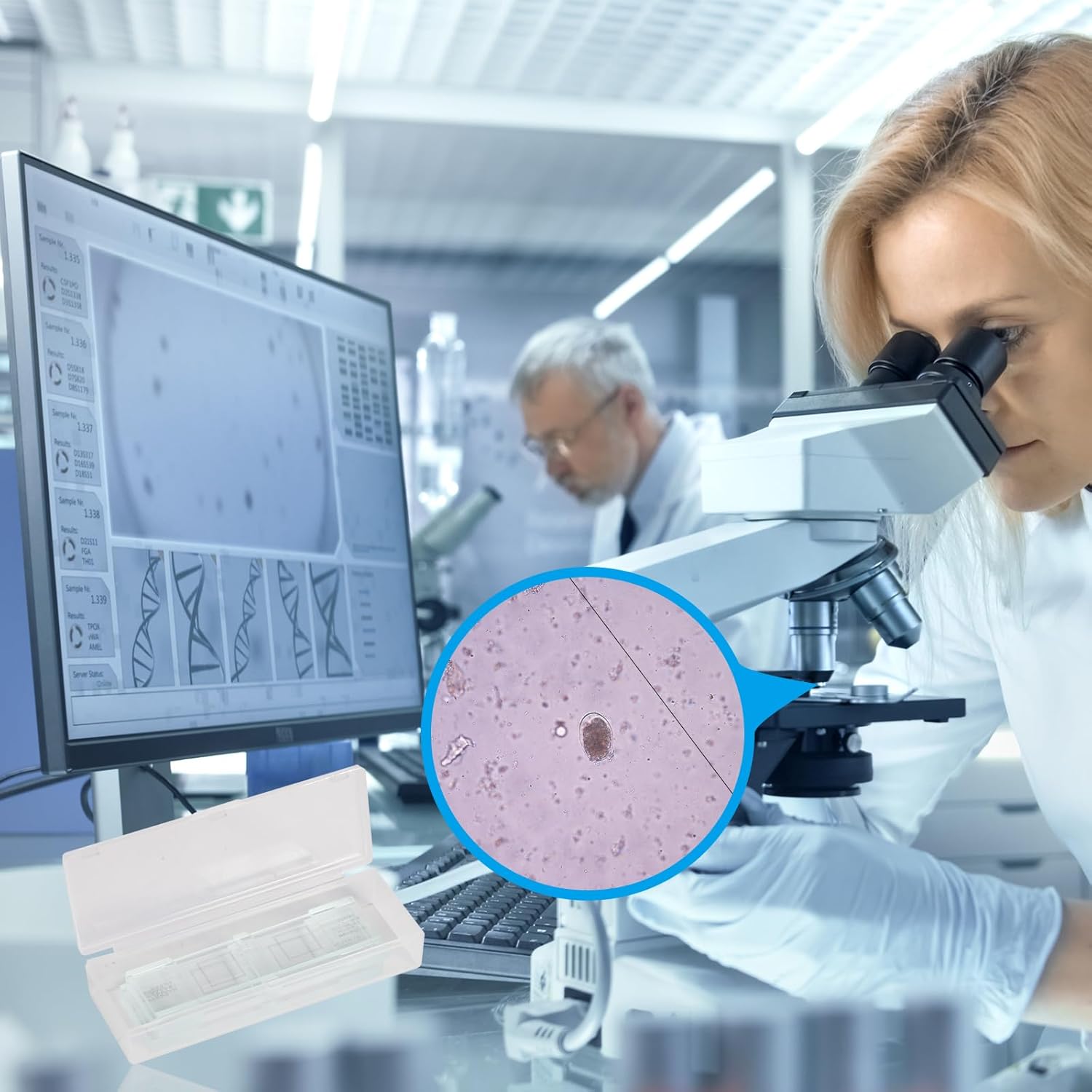 Fecal Egg Count Slide, McMaster Parasite Egg Slide,Worm Egg Count for Veterinary use. Livestock Parasite Management. FEC and FECRT Reference Guide Glass Material is not Easy to Become turbid