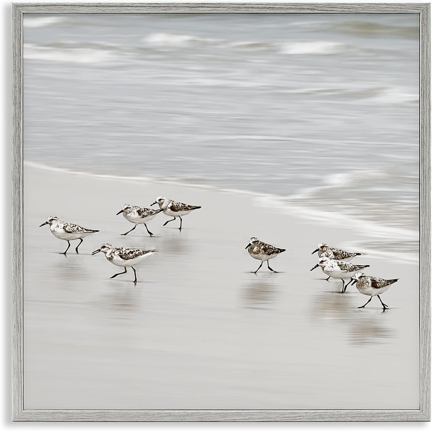 Stupell Industries Beach Birds Scurrying Gray Framed Giclee Art design by Natalie Carpentieri, 17 x 17