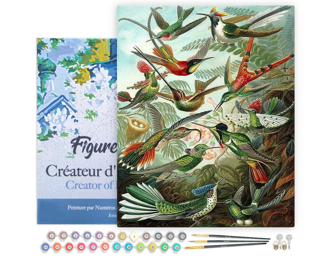 Figured'Art Paint by Numbers for Adults with Frame All The Birds 16"x20" - Craft Art Painting DIY Kit Canvas Already Stretched on a Wooden Frame
