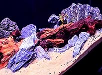 Review Image by Gnemok Yaj Gnemok Yaj