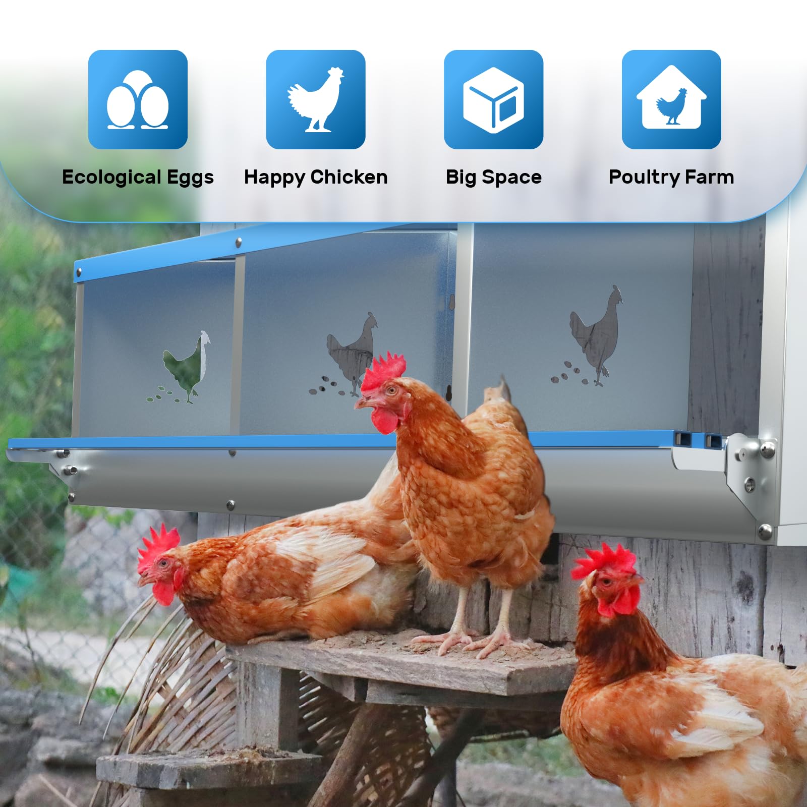 Caja nido de gallina para poner huevos, caja nido de 3 compartimentos para gallinas, patos, aves de corral, protección de huevos, gallinero, fácil colección de huevos, caja nido para gallinero,