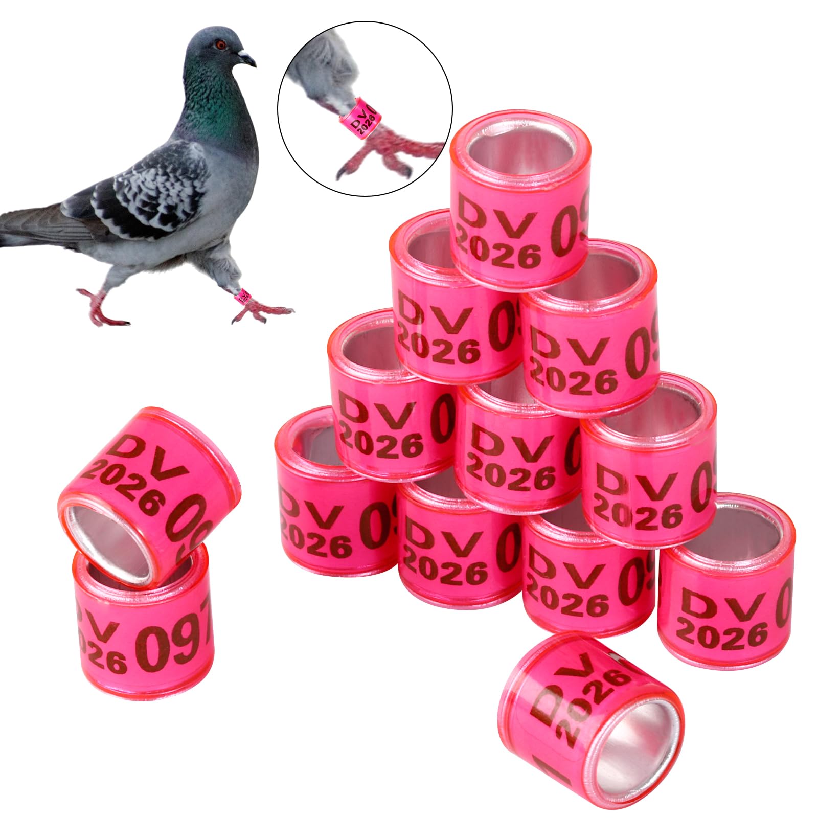 100 Stück Taubenringe Aus Kunststoff - 8 Mm, Nummeriert Von 001-100, In 6 Farben Wählbar, Für Brieftauben & Vögel