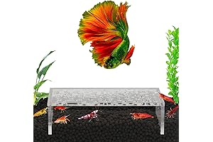 Premium Transparent Shrimp Shelter