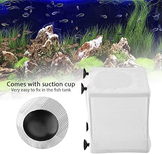 Caixa de Criação de Peixes, Incubadora de Criação de Peixes Aquário Tanque de Peixes Caixa Criadora, para Peixes do bebê do Tanque de Peixes