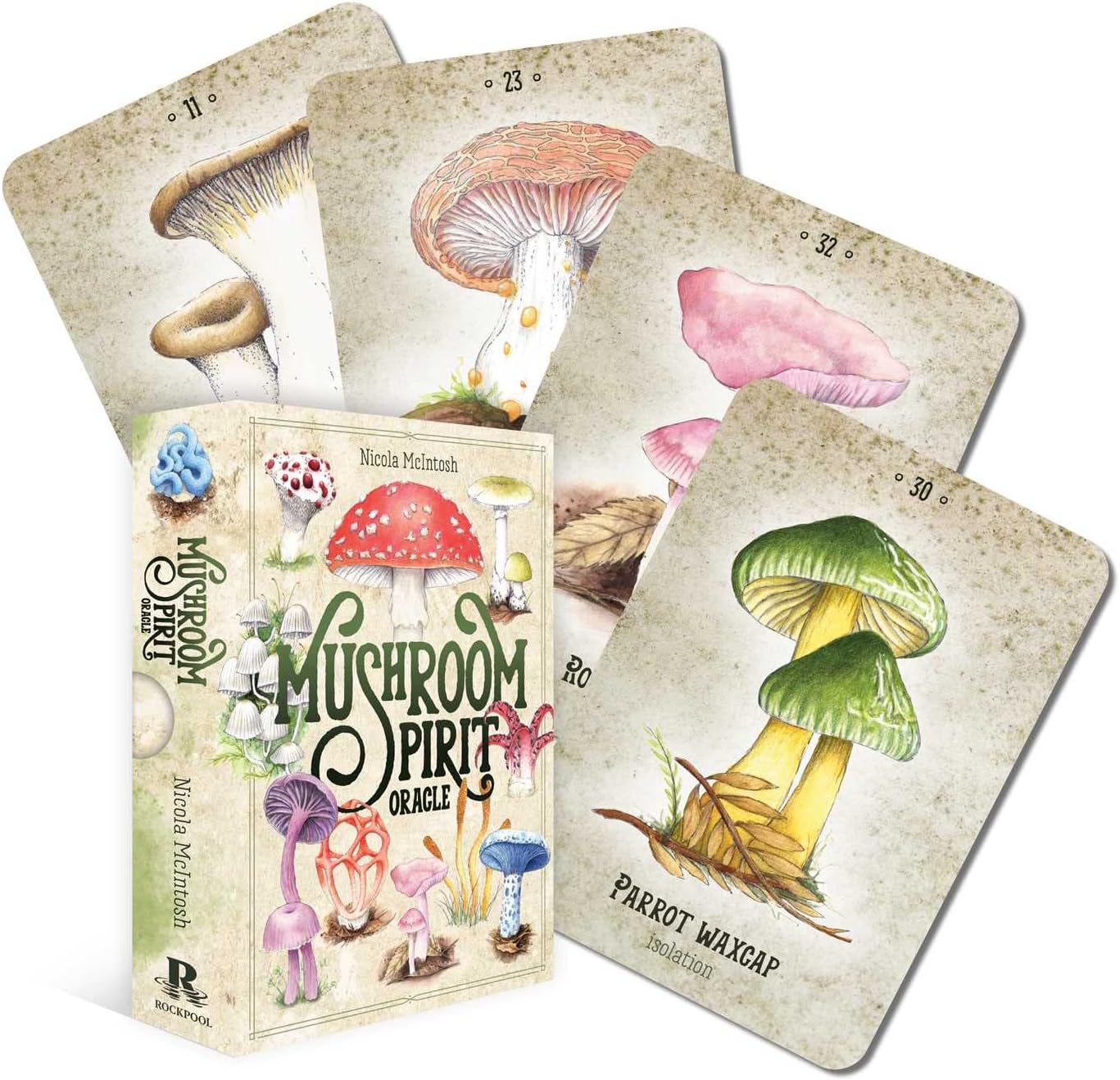 Mushroom Spirit Oracle