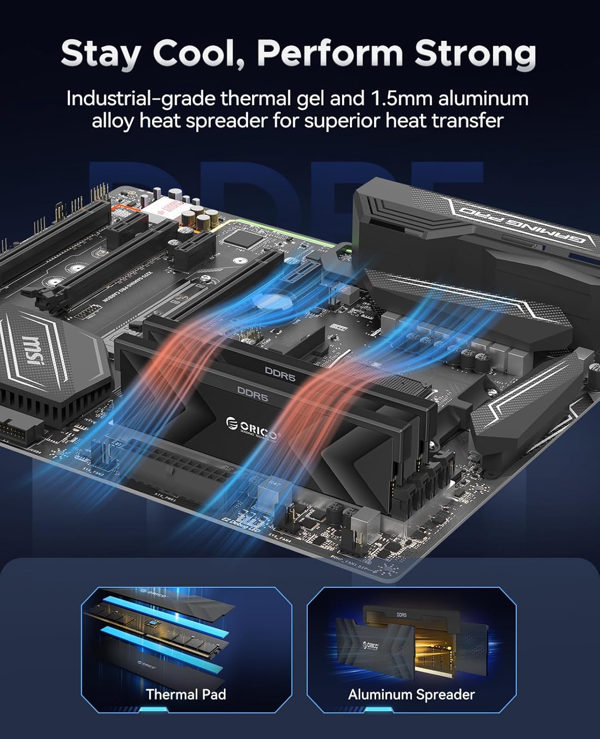 ORICO Raceline Champion DDR5 RAM 32GB (2x16GB) 6000MHz CL30-38-38-76 Low Latency, Dual Platform Overclocking, ON-die ECC Unbuffered DIMM, Enhanced Gaming - Black