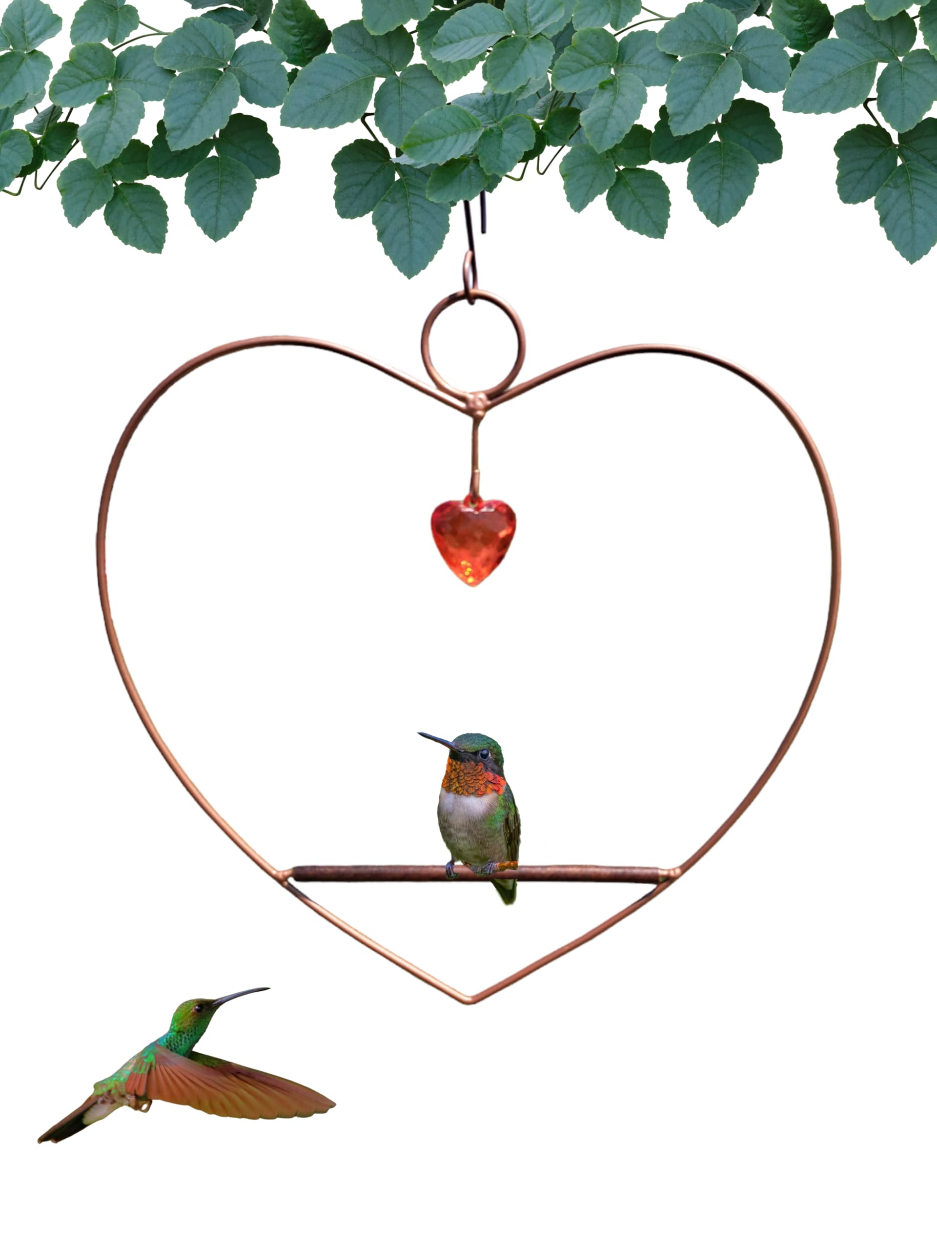 Songbird Essentials Hummingbird Swing