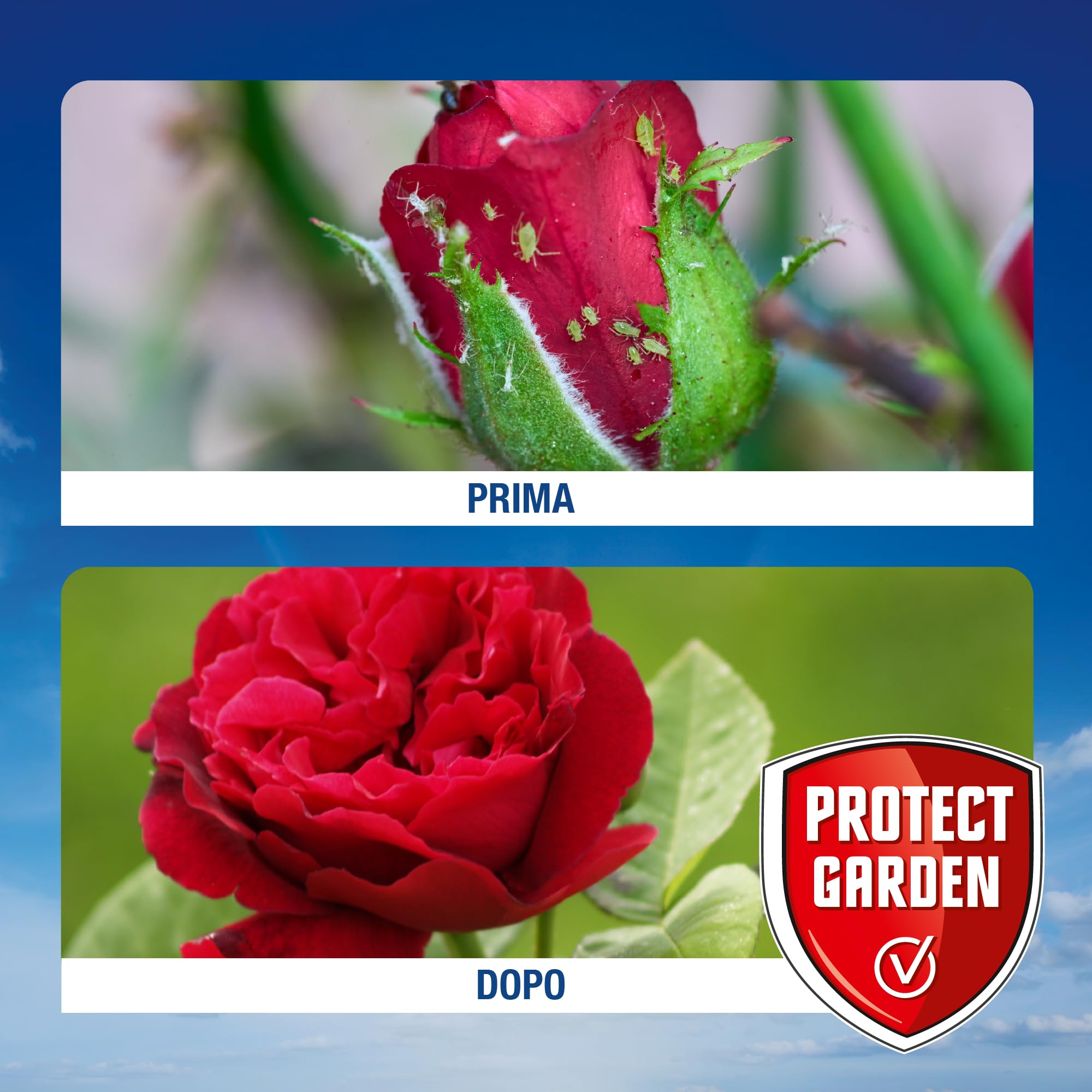 Protect Garden Sanium Pin PFnPO Insetticida Sistemico in Pillole 20 Pin