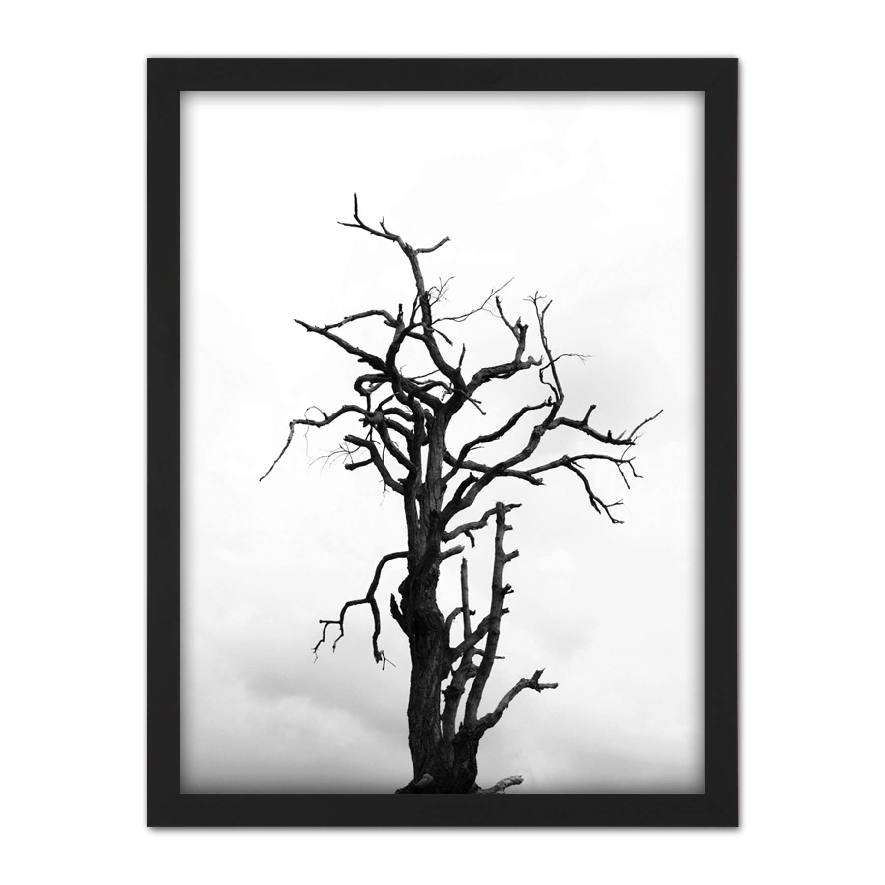Artery8 Lone Dead Tree Silhouette Black White Artwork Framed Wall Art Print 18X24 Inch
