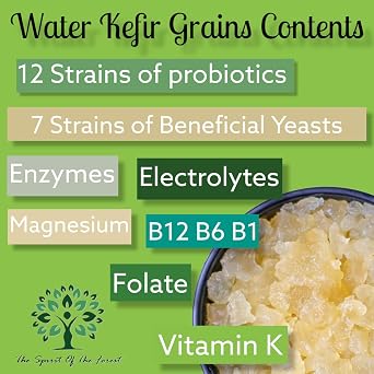 Dehydrated Water Kefir Grains Fermented Probiotic Drink Powder, 1/2 Cup