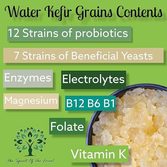 Dehydrated Water Kefir Grains Fermented Probiotic Drink Powder, 1/2 Cup