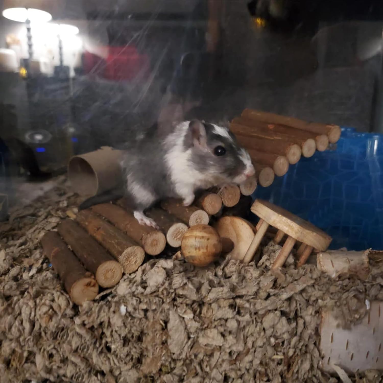 Natural Wood Bridge Ladder Tunnel Tube for Hamster Rats Mouse Guinea Pig Chinchilla Ferret Reptile Small Animals Cage Wooden Hideout Toy (2 Bridge 11" & 8.3")