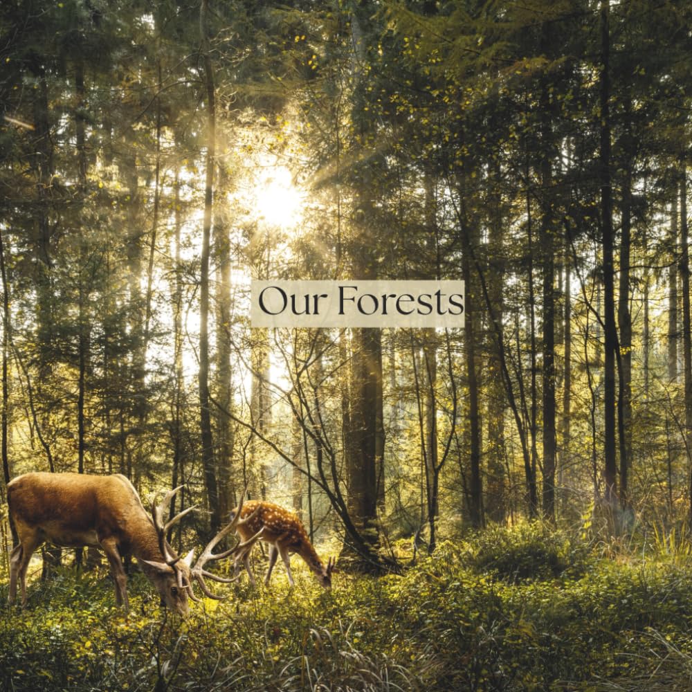 Our Forests