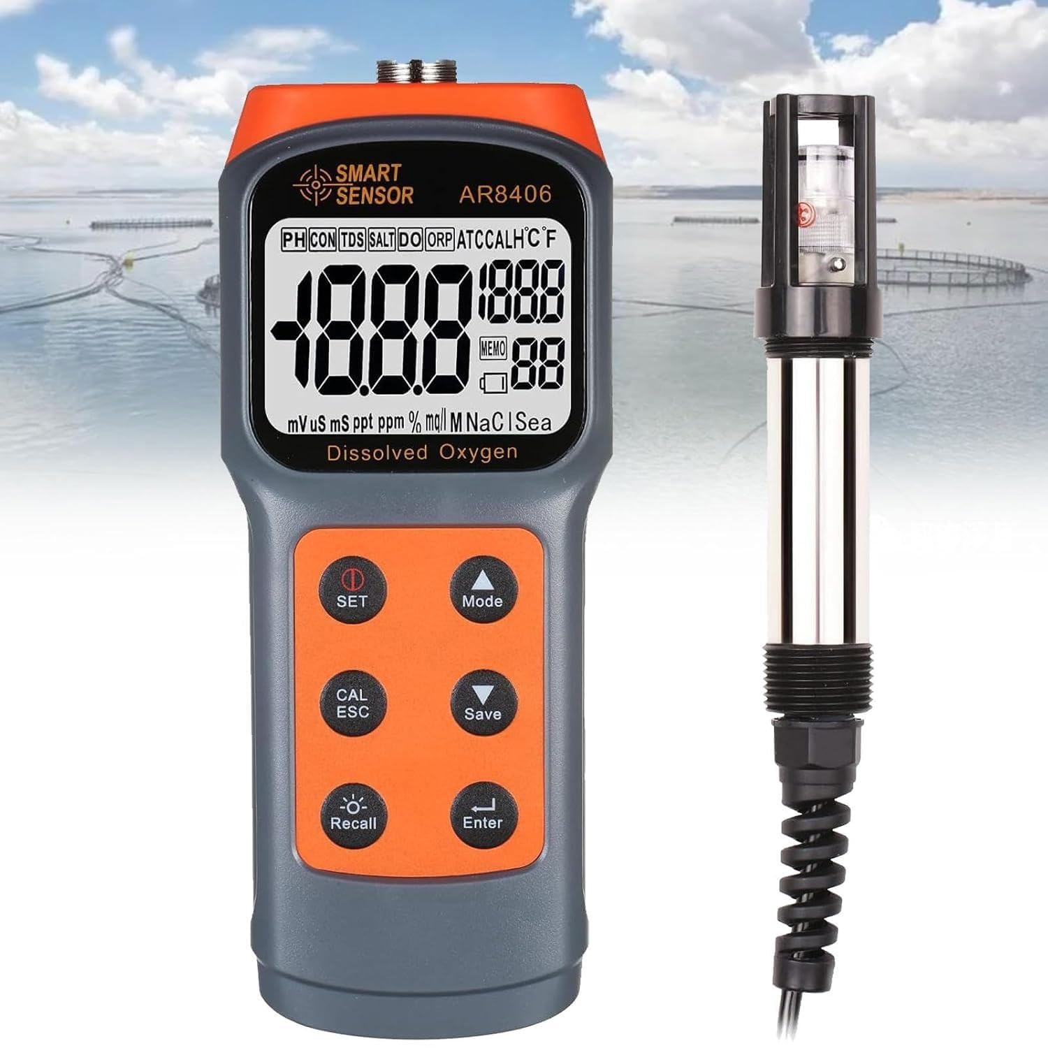 Detector de oxígeno disuelto de mano, probador inteligente DO de 0 ~ 30.0 mg/l, medidor de calidad del agua con pantalla digital, resolución 0.1 mg/l, medición precisa para estanques de peces de