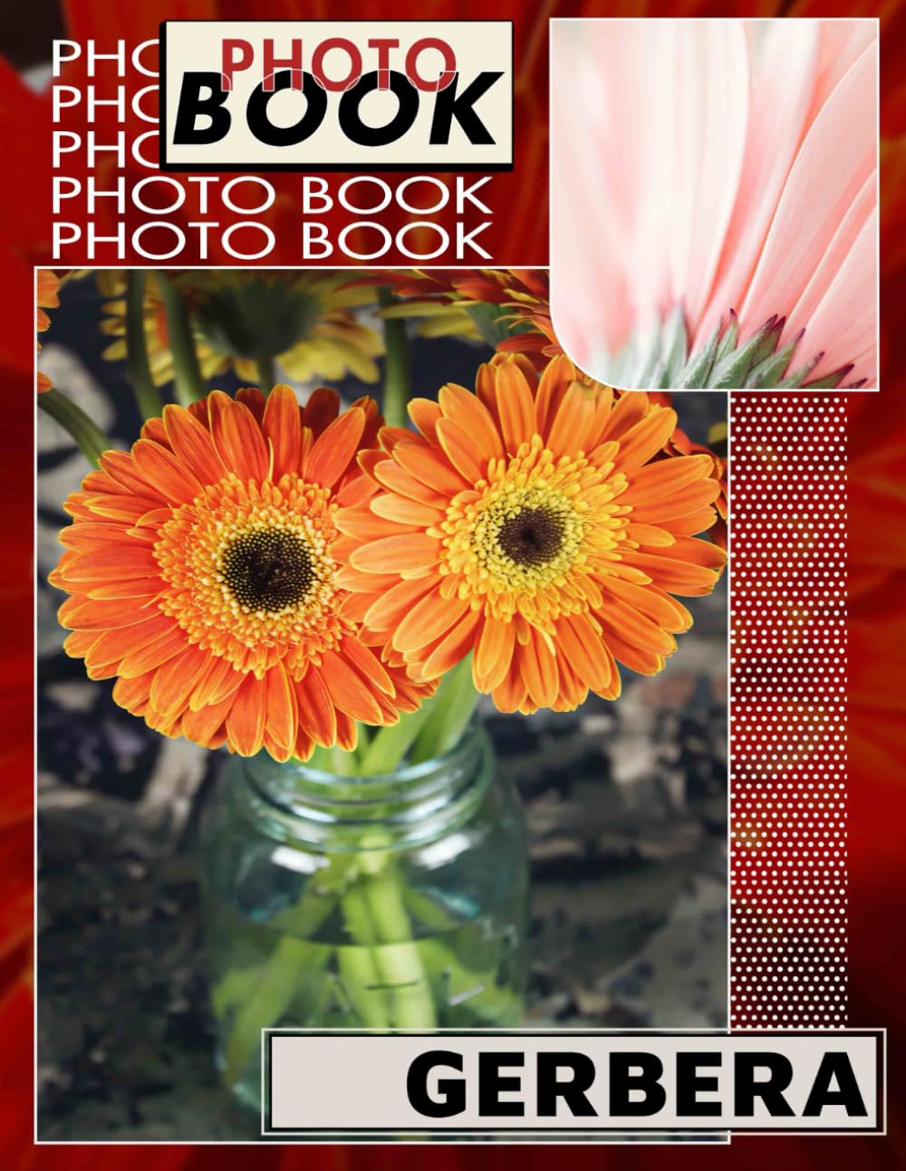 Gerbera Photo Book: Stunning Floral Collection Featuring 40 Vibrant Images Of Gerbera Blooms To Brighten Any Space