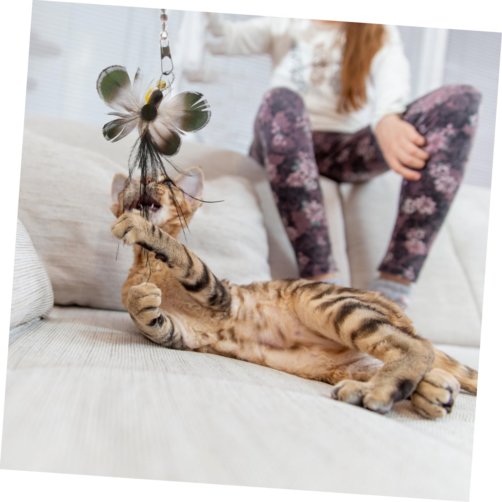 Happyyami 30 Pièces Rechange pour Chat Teaser Chat Remplacement De De pour D'intérieur