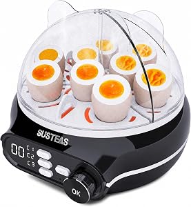 Dash Rapid Egg Cooker