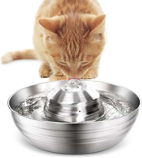 water bowl for dogs with filter