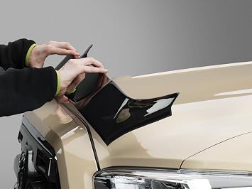 WeatherTech Hood Protector Low-Profile Hood Shield for Ford F-150 (55153)