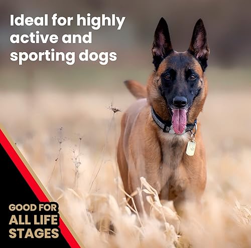 Miniatura 5 de VICTOR Super Premium Comida para Perros  Alimento seco para perros de alta energía para perros activos  Croquetas caninas sin gluten con proteínas