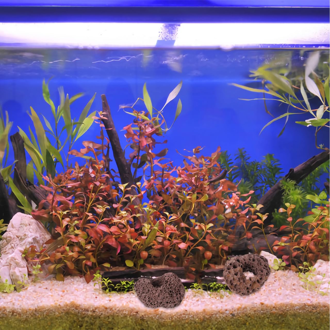 Balacoo Lot de 10 pierres de lave volcaniques pour aquarium - Pierres décoratives pour aquarium - Matériau filtre sous l'eau - Perles en vrac pour pot de fleurs, bonsaï