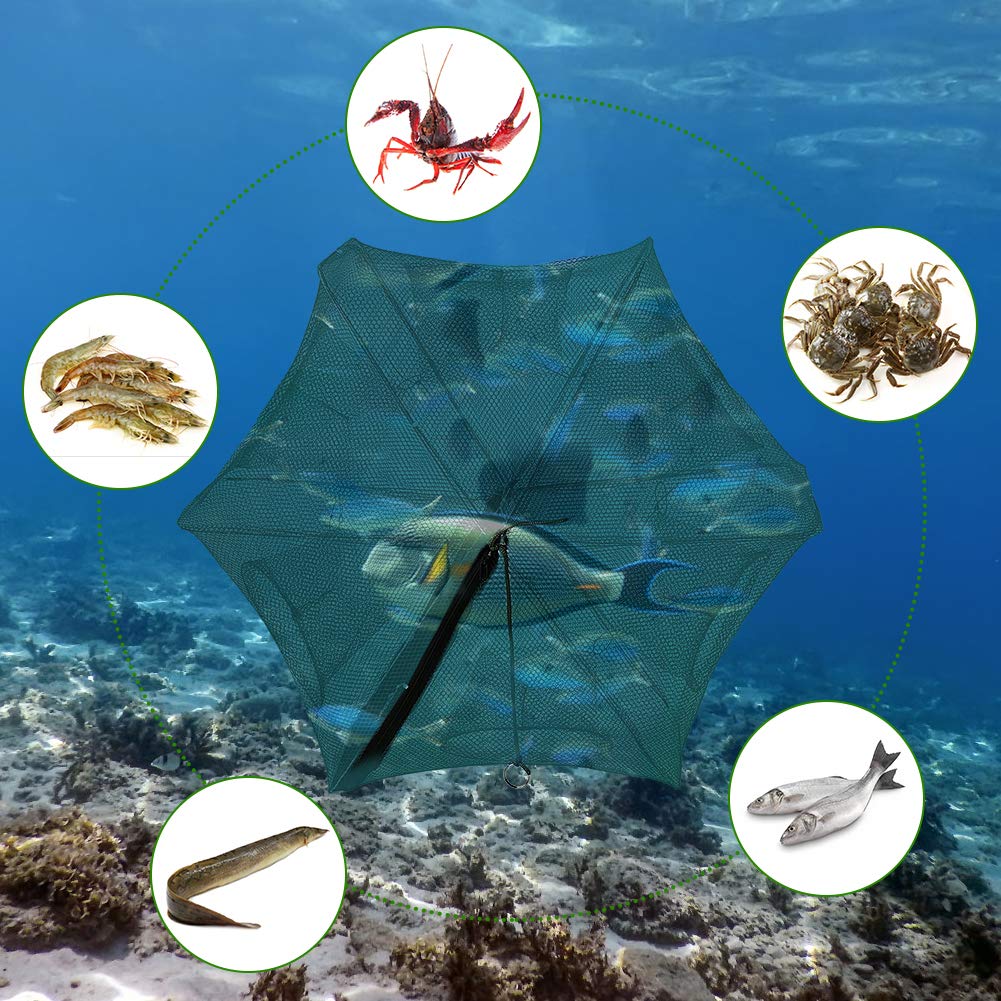 Red de Pesca con 6 Agujeros para cangrejos y Peces pequeños, Trampa de Malla Resistente para Pesca Artesanal