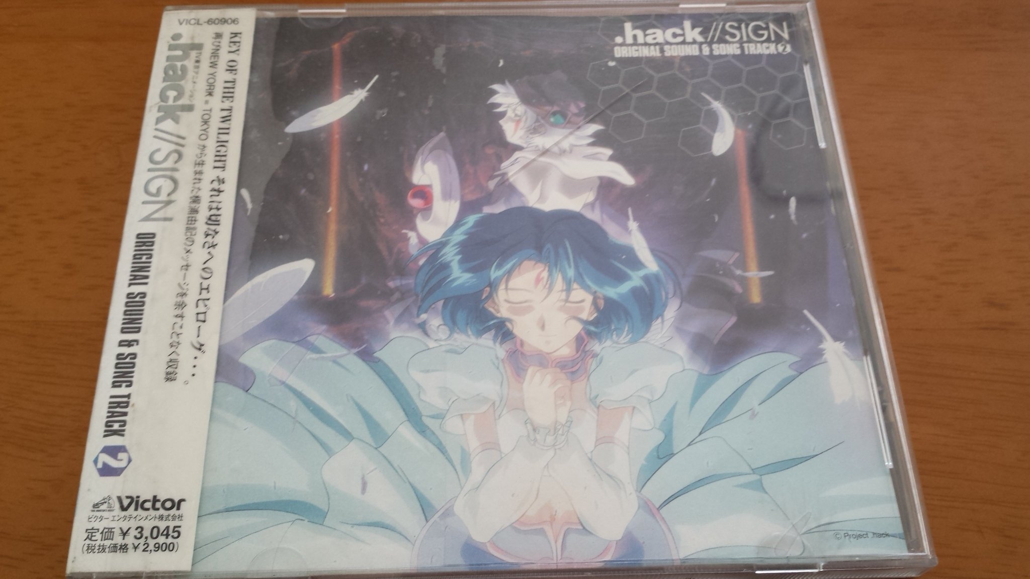 子沢山 子吹き シンメトリカ (検索 オベサ バリダ 植物の