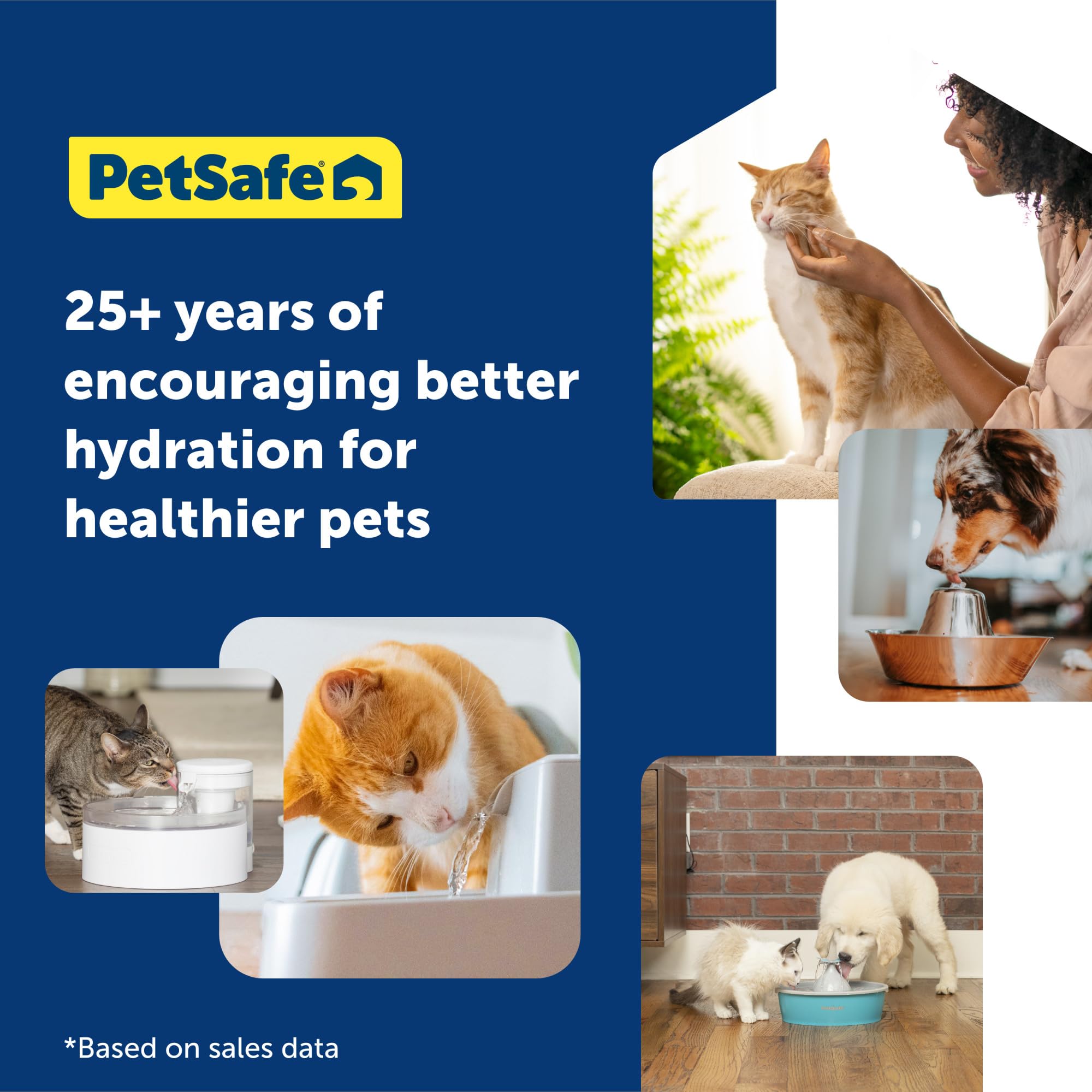 PetSafe Oasys 1/2 Gallon Pet Fountain - Cat & Dog Hydration Station with Free-Falling Water Stream & Customizable Flow - Encourages Hydration & Protects Sensitive Whiskers - 1/2 Gallon: 2 gallon 2 Gallon