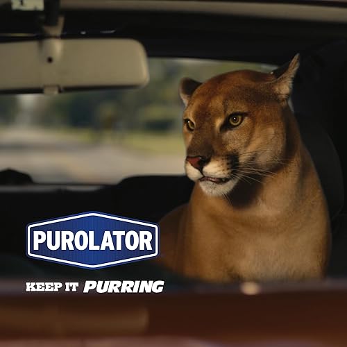 Miniatura 8 de Purolator TL20252 PurolatorTECH - Filtro de aceite giratorio compatible con Volkswagen Jetta, Beetle, Golf, Vanagon, Cabrio y Audi TT Quattro