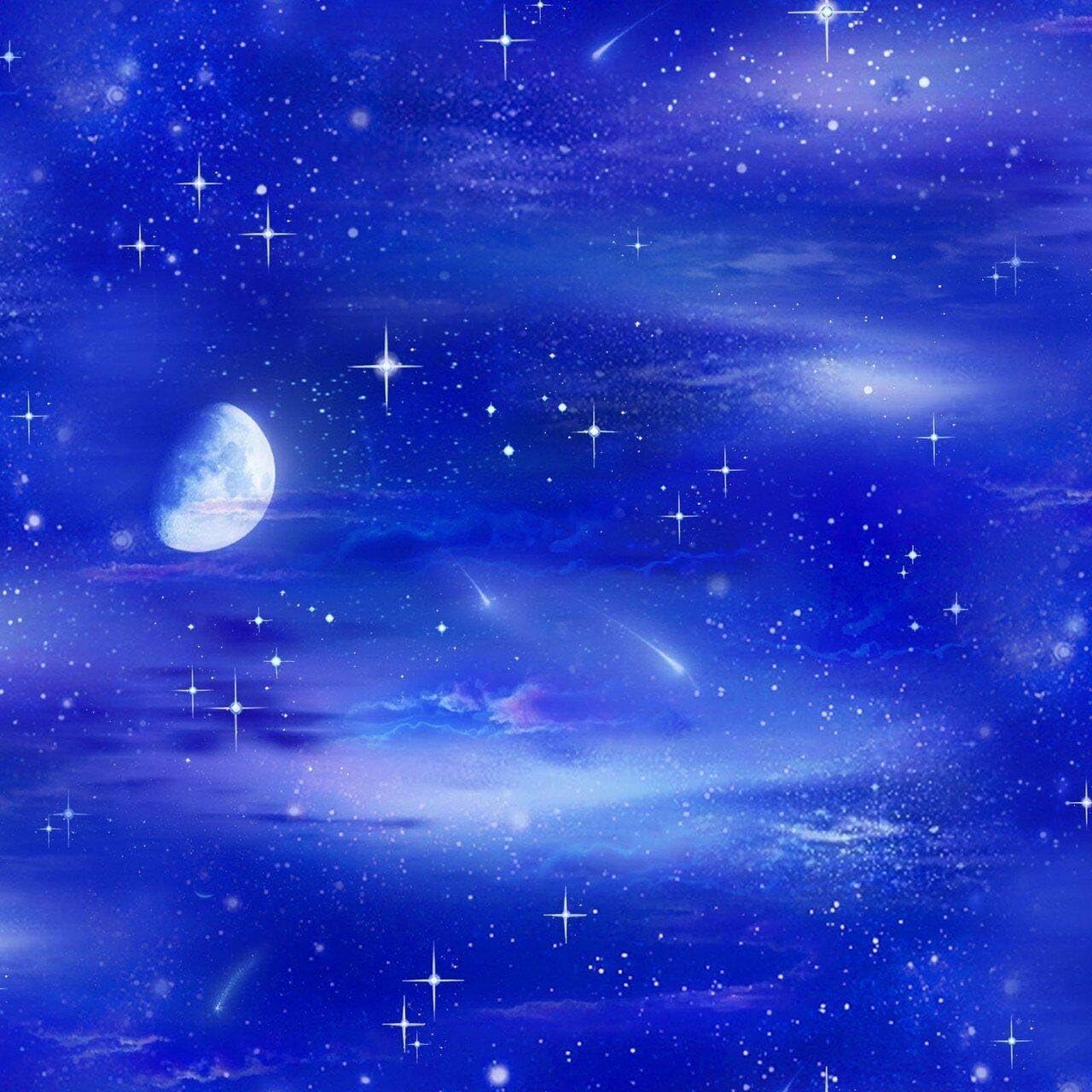 Landscape Medley~Night Sky Cotton Fabric by Elizabeth's Studio