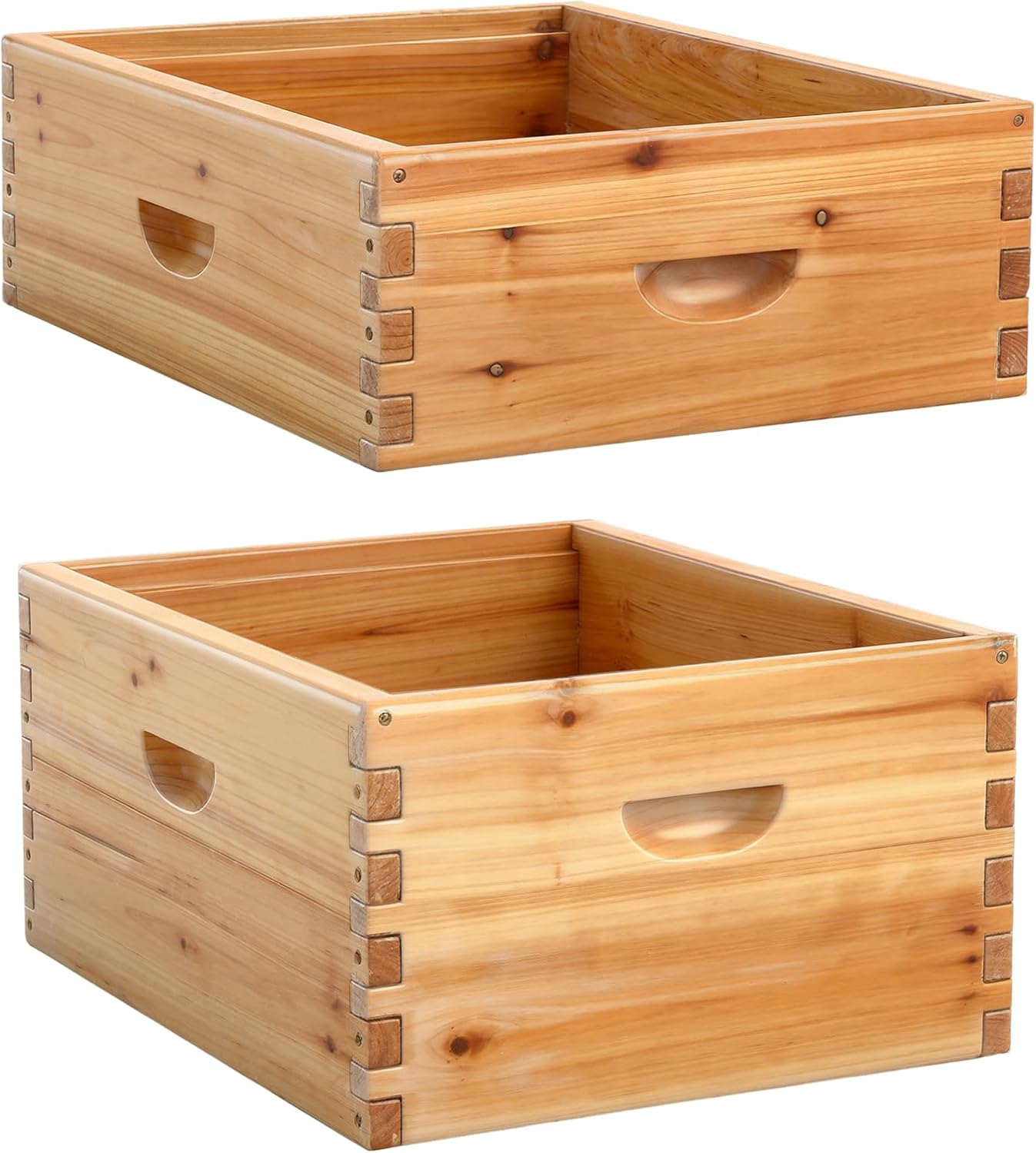 2 Pcs 10 Frame Bee Hives Boxes Starter Kit Including Deep Brood Wooden Frames and Medium Super Beehive Box with Beeswax Wood Construction for Beginners Beekeepers(Unassembled)