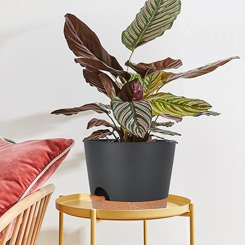 Miniatura 4 de 12inch Large Self Watering Plant Pot, Plastic Cylinder Planter with 60Oz Deep Reservoir and Saucer for Indoor Outdoor Plants Flowers Houseplants