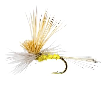 Amazon | 24 para ウルフ ティルトウィング ダンキャディス