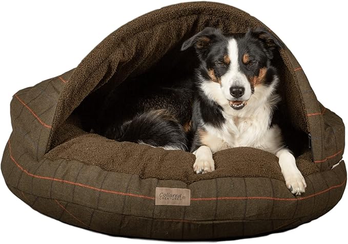collared dog beds