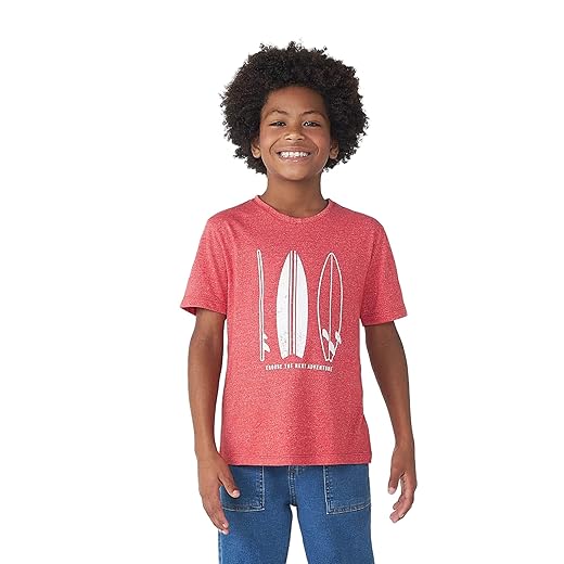 Camiseta Infantil Menino Manga Curta Tradicional Com Estampa Hering Kids