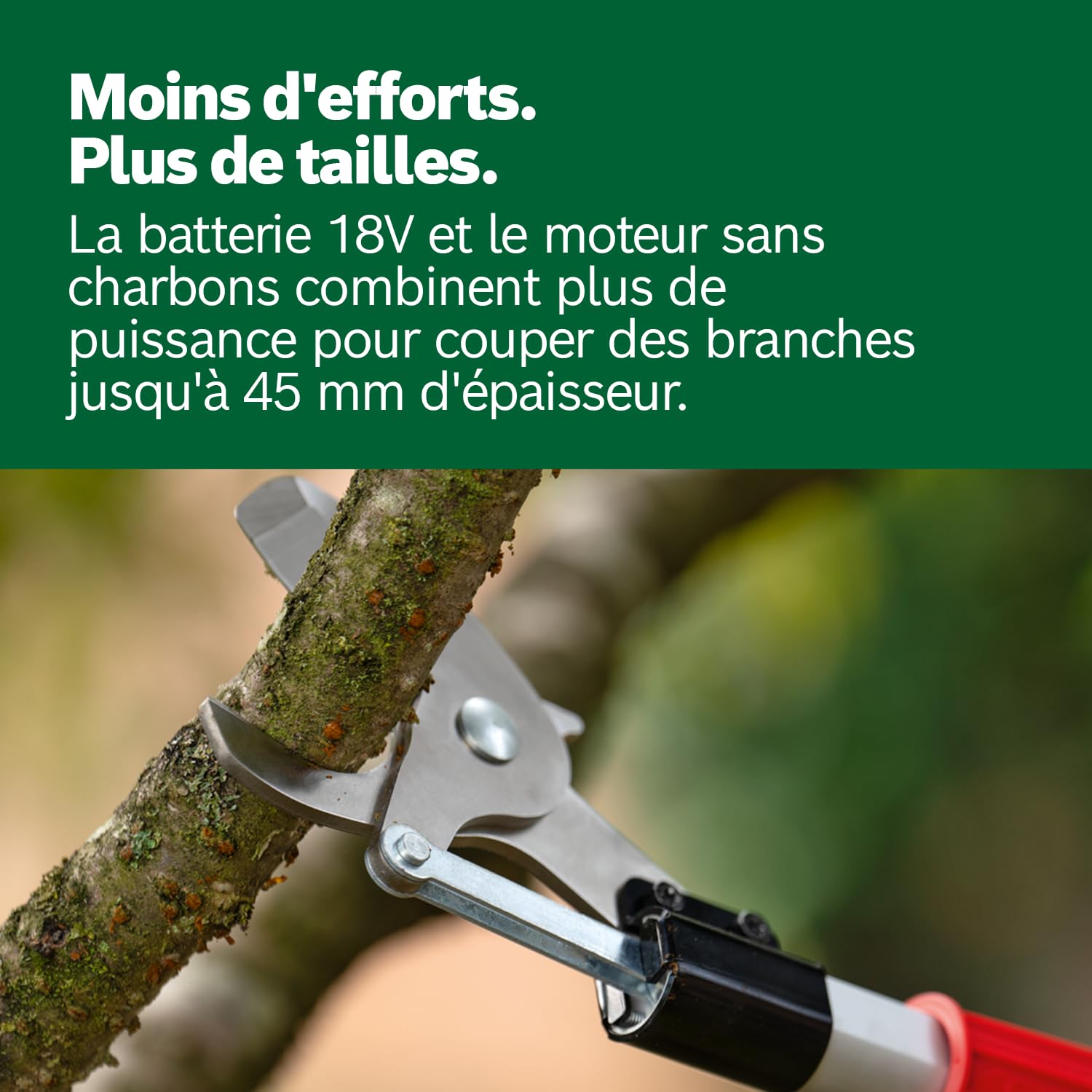 Bosch Home and Garden Sécateur sans fil AdvancedPrune 18V-45 (pour couper sans effort les branches jusqu'à 45 mm ; système 18 V ; jusqu'à 600 coupes ; avec batterie, chargeur et barre d'extension)