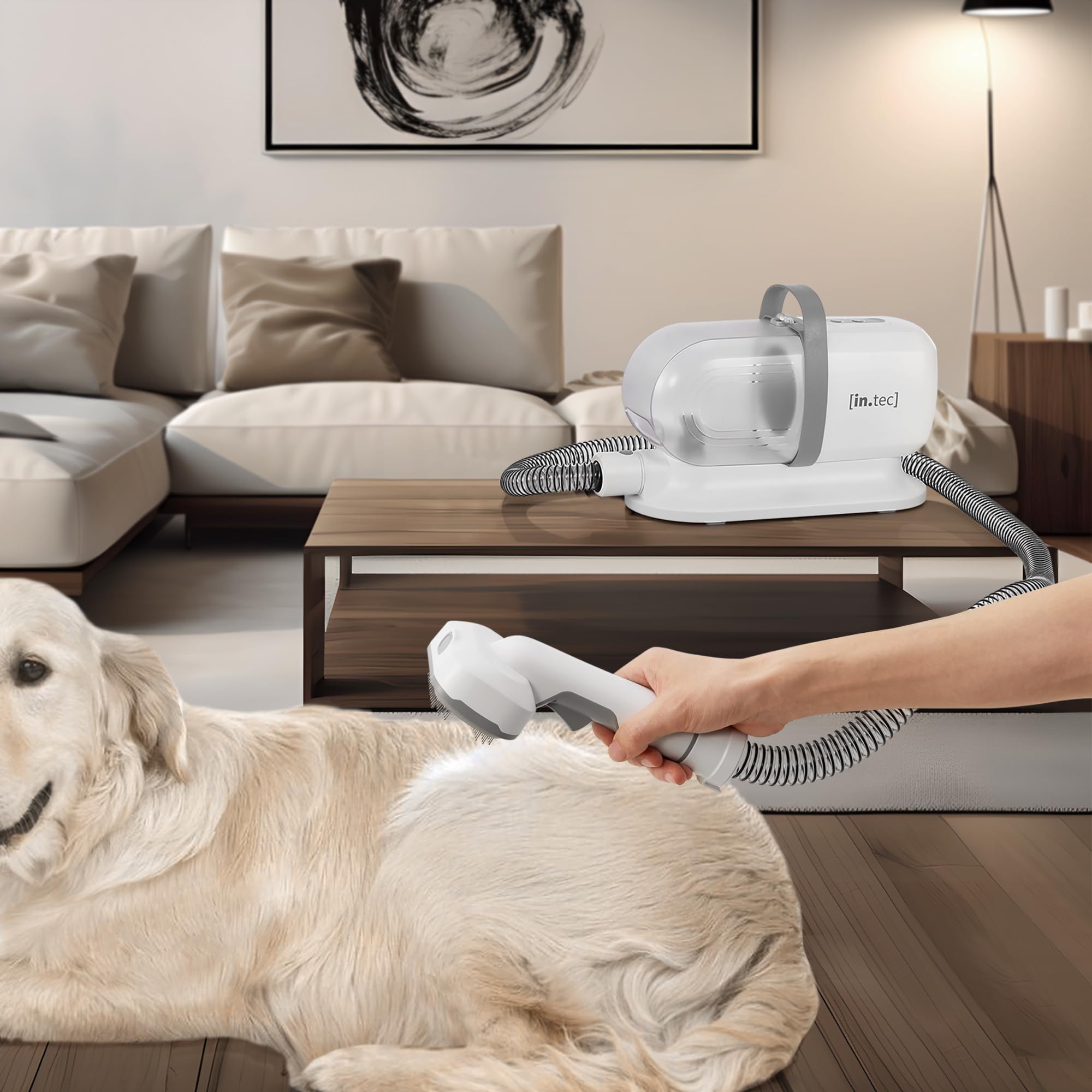in.tec Maquinilla Eléctrica con Aspiradora de Pelo Amesbury 5 en 1 para Perros y Gatos Cepillo Aspirador Eléctrica para Mascotas Plástico Metal 22,5 x 33 x 13,8 cm - Blanco/Gris