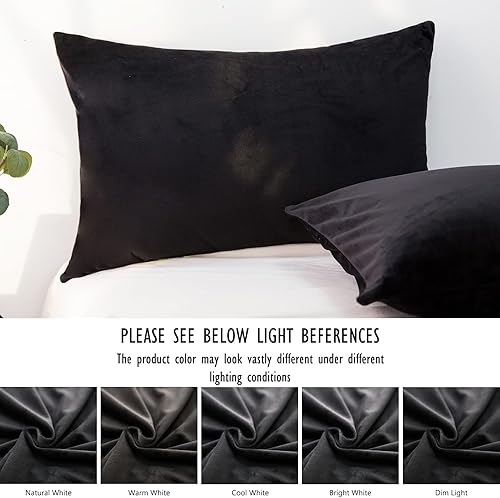 Miniatura 132 de TELUS 2 Pack Zippered Velvet Standard Pillowcases, Super Soft and Cozy Luxury Fuzzy Flannel Pillow Cases with Zipper, 20x26 Inches, Light Blue