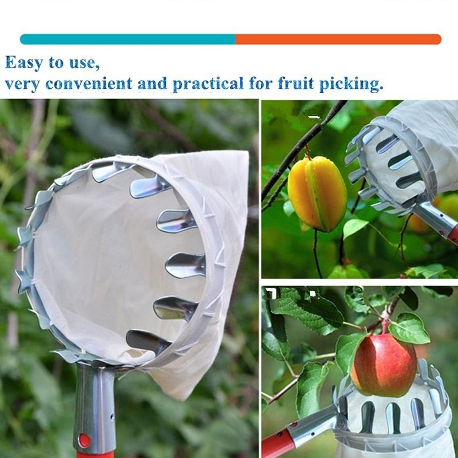 Élagage de Jardin Cueilleur de Fruits Jardinage Poire Outil de Cueillette de Pêches en Métal Collection Longue Distance Outils de Collecte 1 Pc
