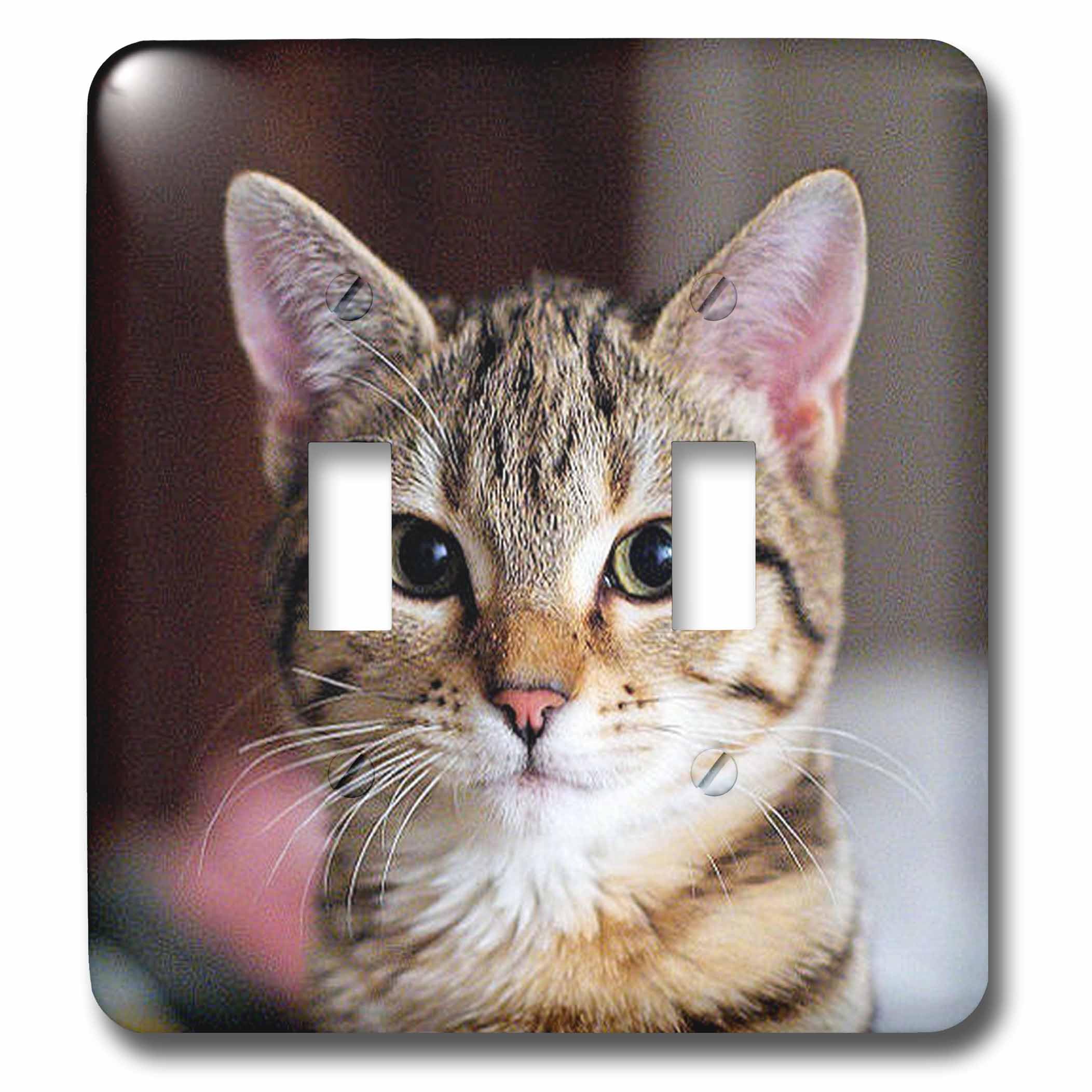 Interrupteur double chat tabby motif adorable 3dRose lsp