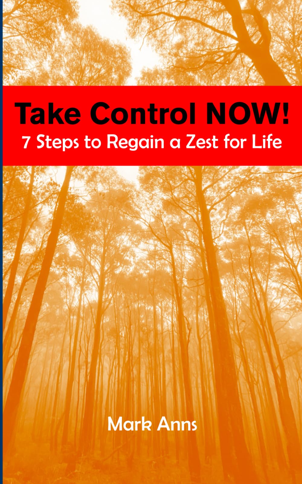 Take Control NOW!: 7 Steps to Regain a Zest for Life