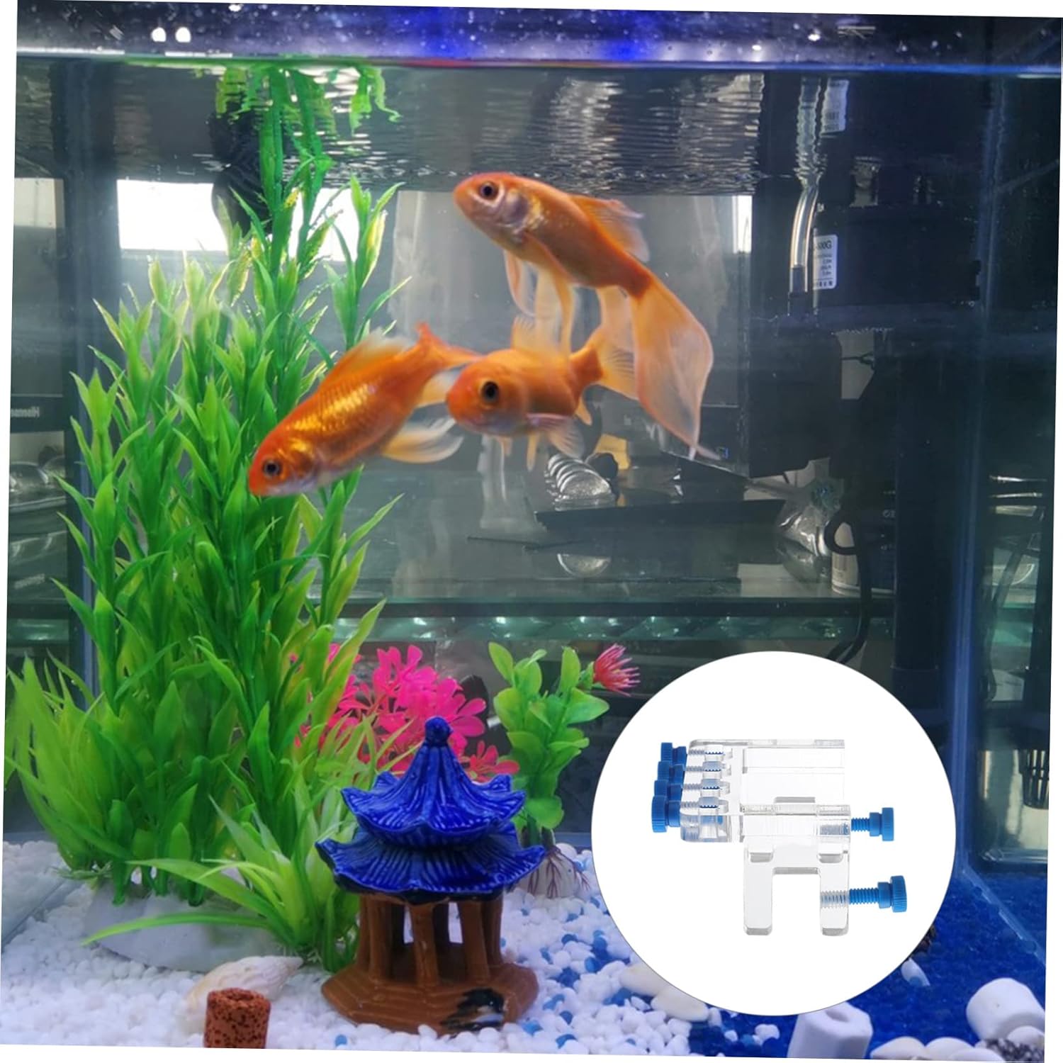 BESPORTBLE 3pcs Acrylic Aquarium Water Clamp Pipe Clamp for Fish Tank Aquarium Fixing Screws