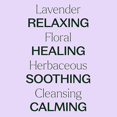 Miniatura 4 de Plant Therapy aceite esencial de lavanda