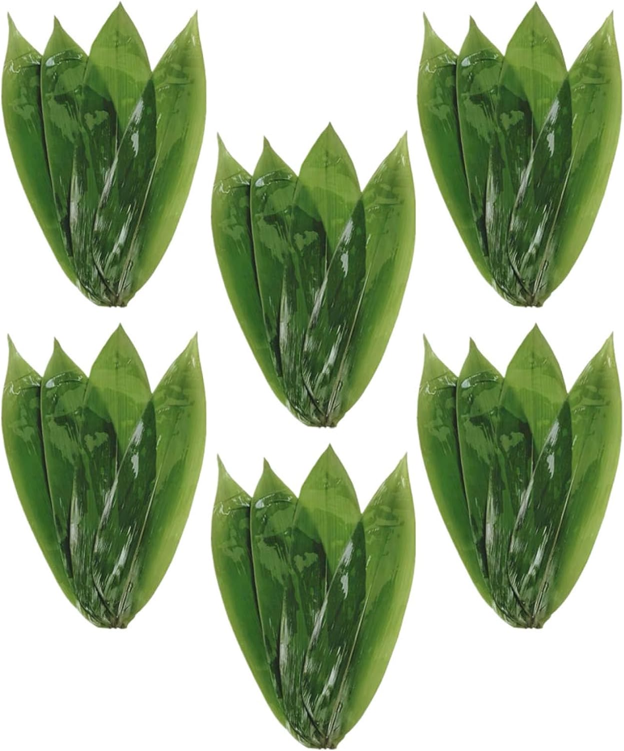 50pcs Sushi Decorative Leaves Bamboo Leaves for Sushi Party Decoration Plate
