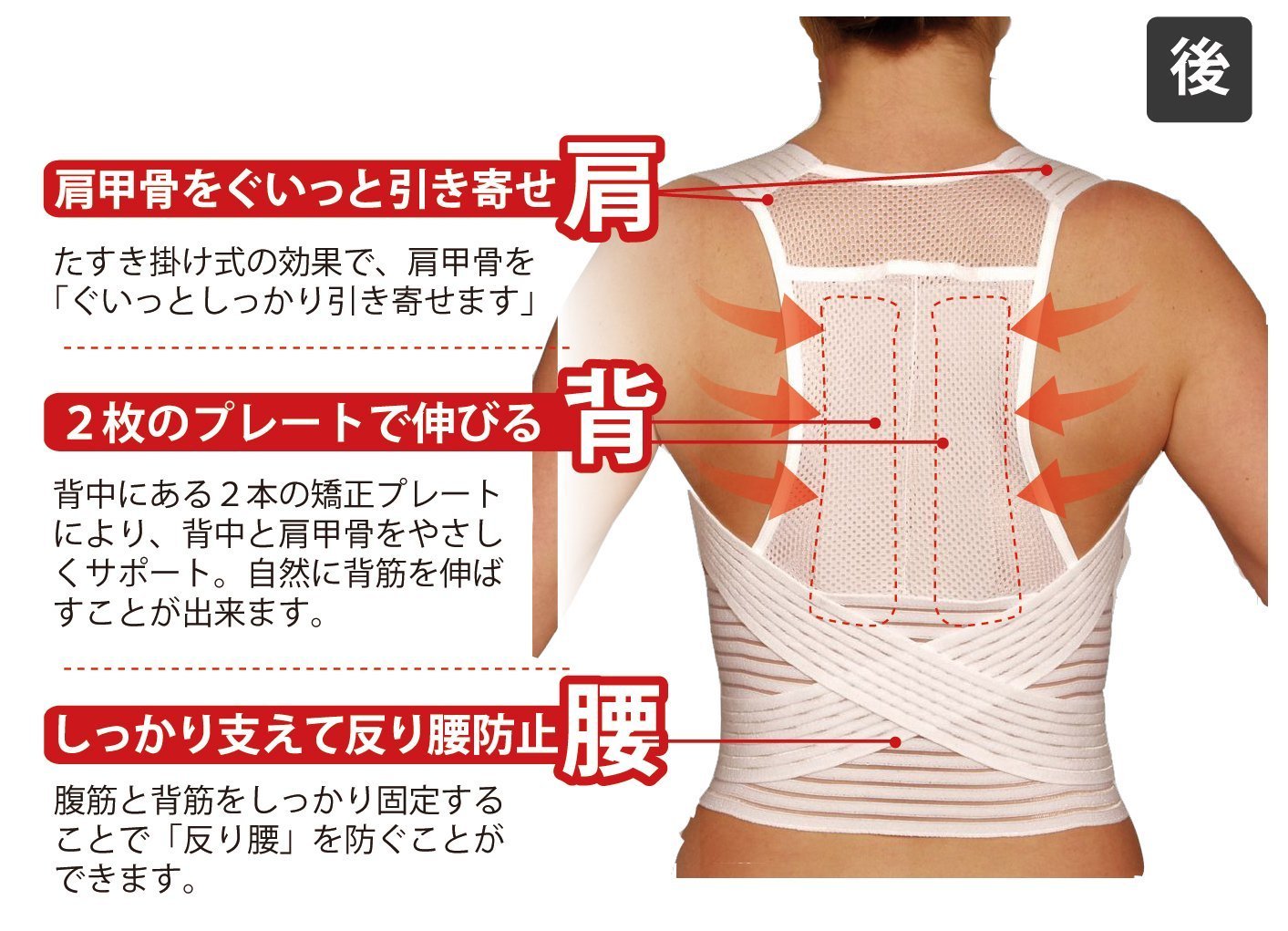 Hydas Back Support Belt *AF27*