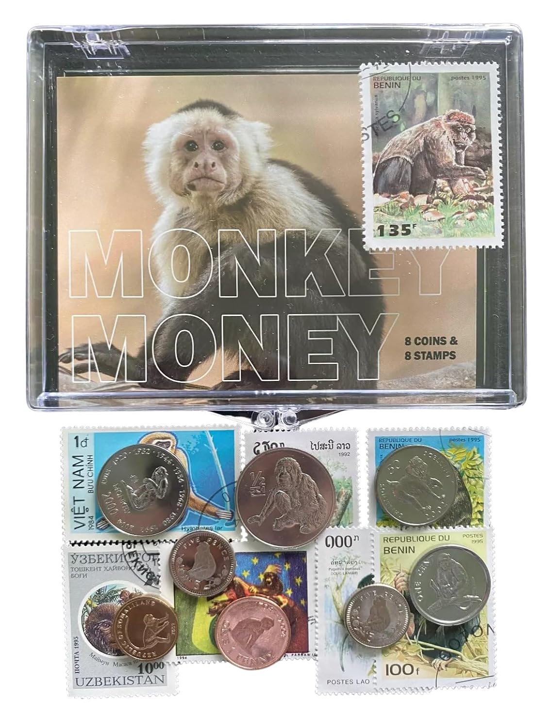 Monkey Money Collectible Set – 8 World Coins & 8 Postage Stamps Featuring Monkeys in Clear Storage Box – Animal-Themed Gift for Collectors & Nature Enthusiasts