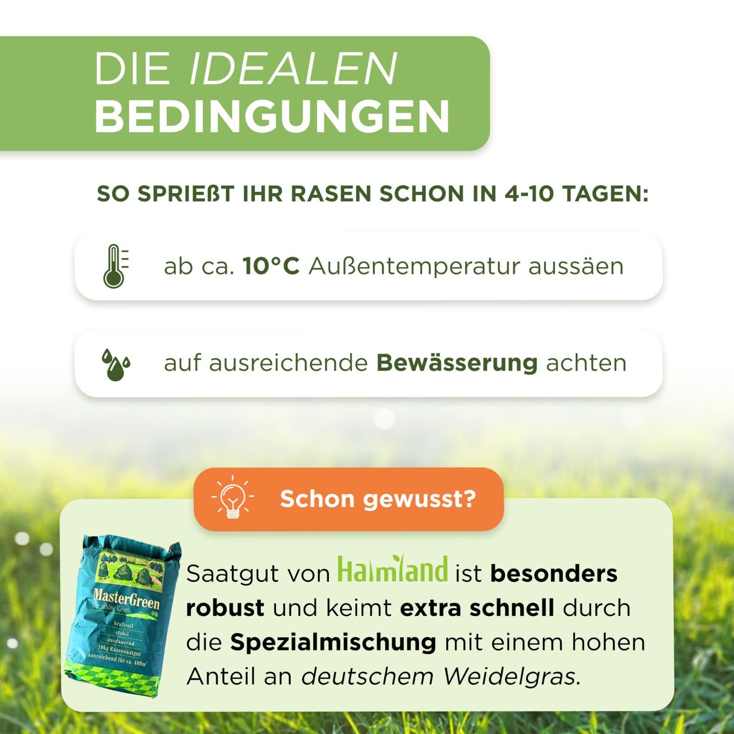 Schattenrasen Samen Rasensamen schnellkeimend Sommer 10 kg = 400 m² | Grassamen schnellkeimend für schattige Flächen | für Rasen Nachsaat | SEHR GUT getestet | Inkl. Rasensaat Anleitung