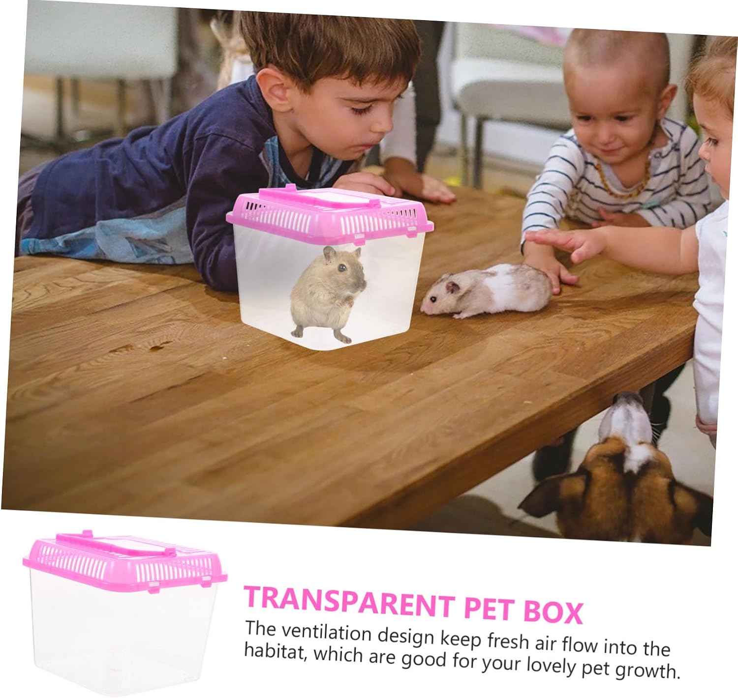 4pcs Reptile Aquarium Tank Detachable Lid Transparent Pet Feeding Box for Turtle Crabs Easy to Habitat for Various Pets