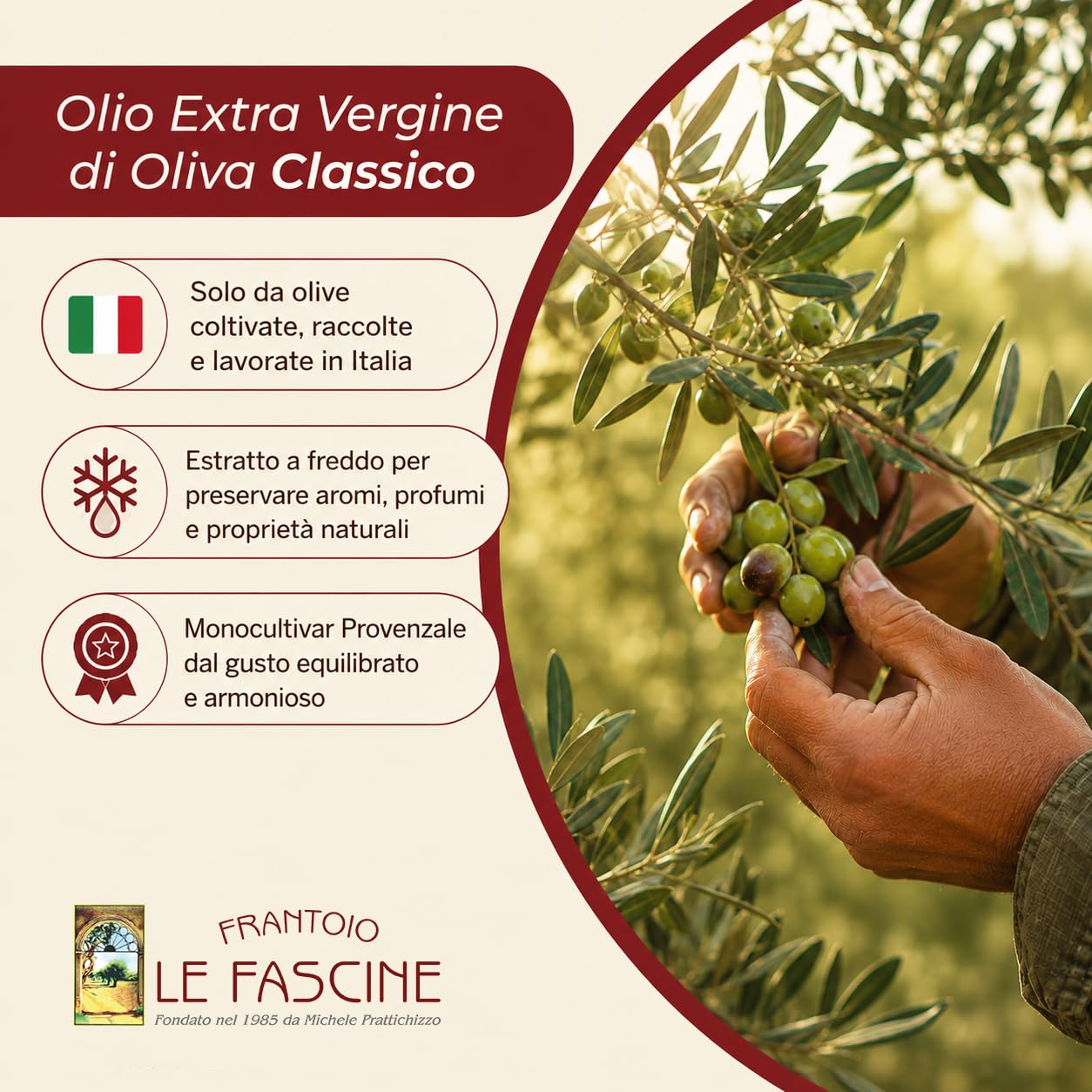Le Fascine Classico - Olio Extravergine di Oliva 100% Italiano Estratto a Freddo Prodotto da Monocultivar Provenzale (Latta da 5 Litri)